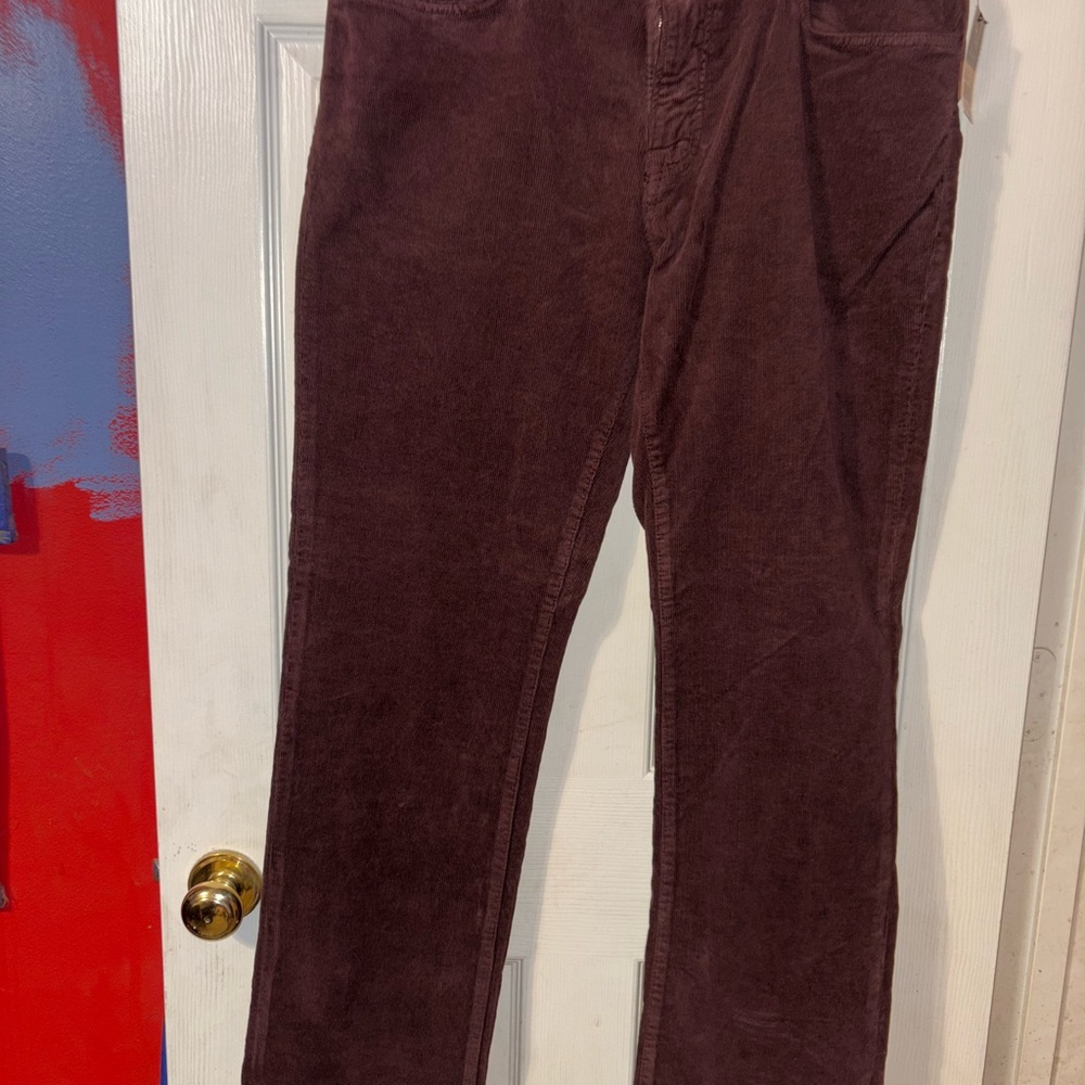 Charisma Men's Corduroy Pants in Deep Brown